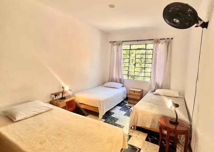 Albergue Selvática Medellín