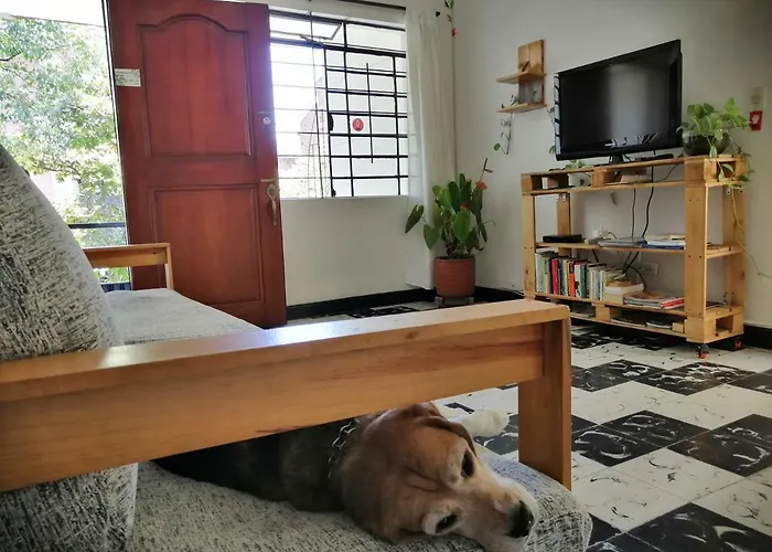 Albergue Selvática Medellín